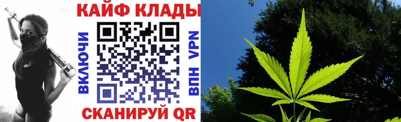 Купить Шахунья ЭКСТАЗИ  АМФ  Марихуана  МЕФ  Cocaine 