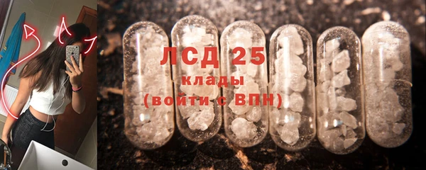 индика Болохово