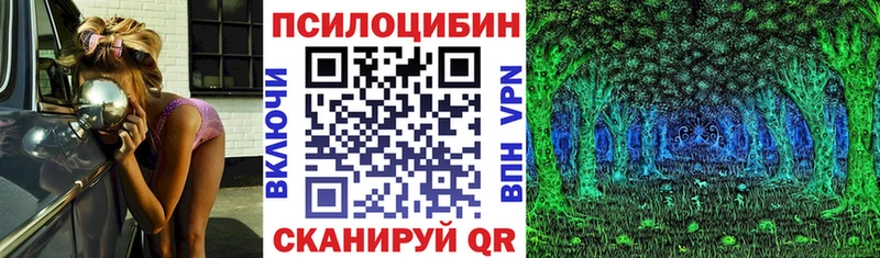 дарк нет формула Шахунья Галлюциногенные грибы прущие грибы